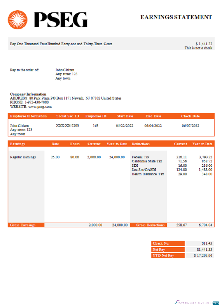 Download USA PSEG utilities company pay stub Photoshop template